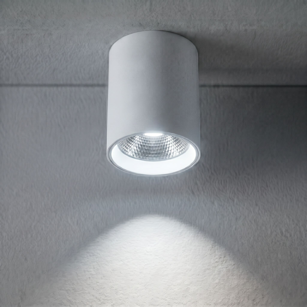 Накладной светодиодный светильник Crystal Lux CLT 075C WH