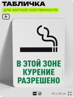 Табличка для частной территории "В этой зоне курение разрешено", на дом, для участка, для подъезда, организаций и частных территорий, предупреждающая, 40х30 см, Silver Plane x Айдентика Технолоджи