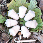 Шнуровка Желуди неокрашенные Леснушки