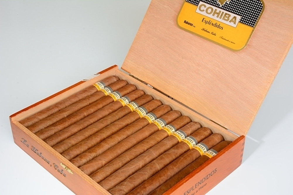 Cohiba Esplendidos Vintage 2005