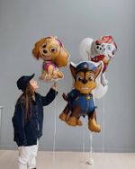 Шар- Скай Щенячий патруль (БГ-40)