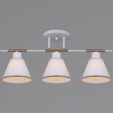 07594-0.3-03 WG светильник потолочный