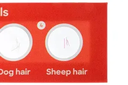 Набор микропрепаратов Levenhuk Discovery «Флора и фауна», 24 шт.