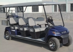 Гольфкар GreenCamel LVTong A6C (6+C, 4kW AC, R10)