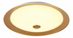 Накладной светильник Maytoni CL815-PT50-G