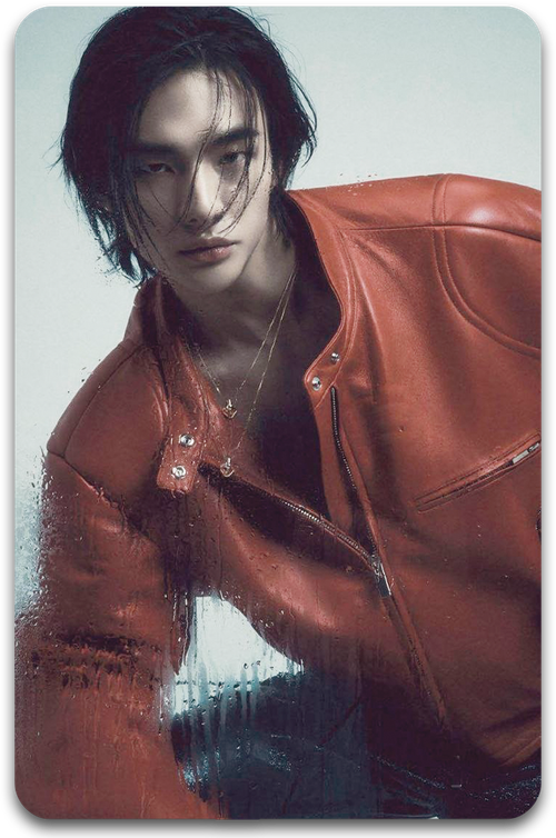 Карта / STRAY KIDS #1352