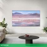 Телевизор TCL 43P7K