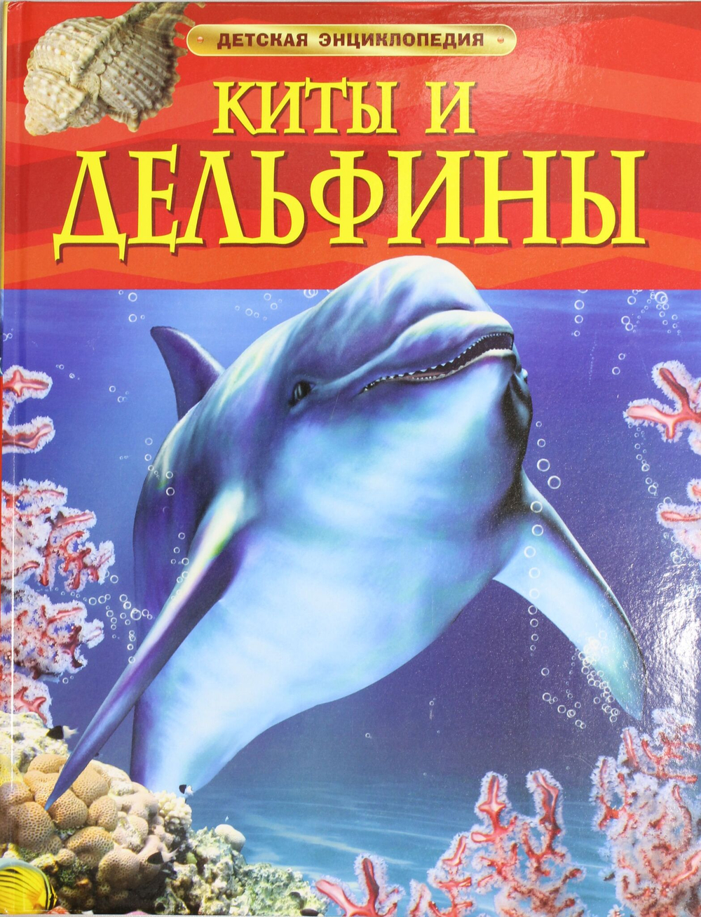 Киты и дельфины.