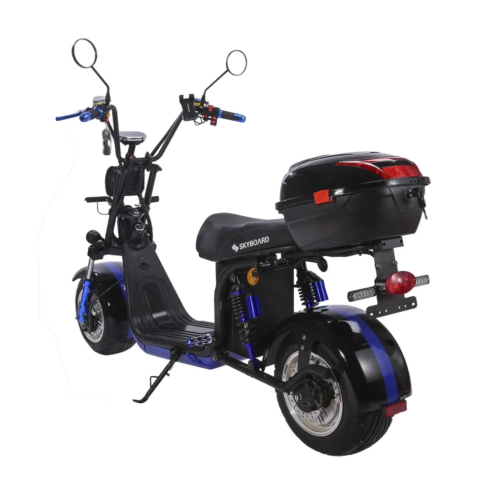 Электроскутер CityCoco Skyboard BR30-2WD (Ural) черный