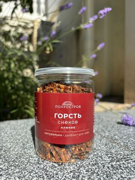Горсть снеков с клюквой 100 г