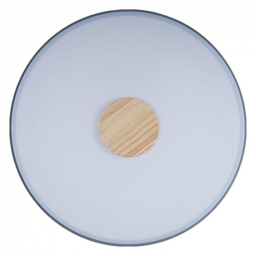 Накладной светильник Loft it Axel 2 10003/24 Grey