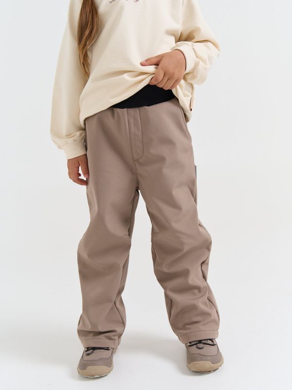 Брюки Softshell демисезонные 