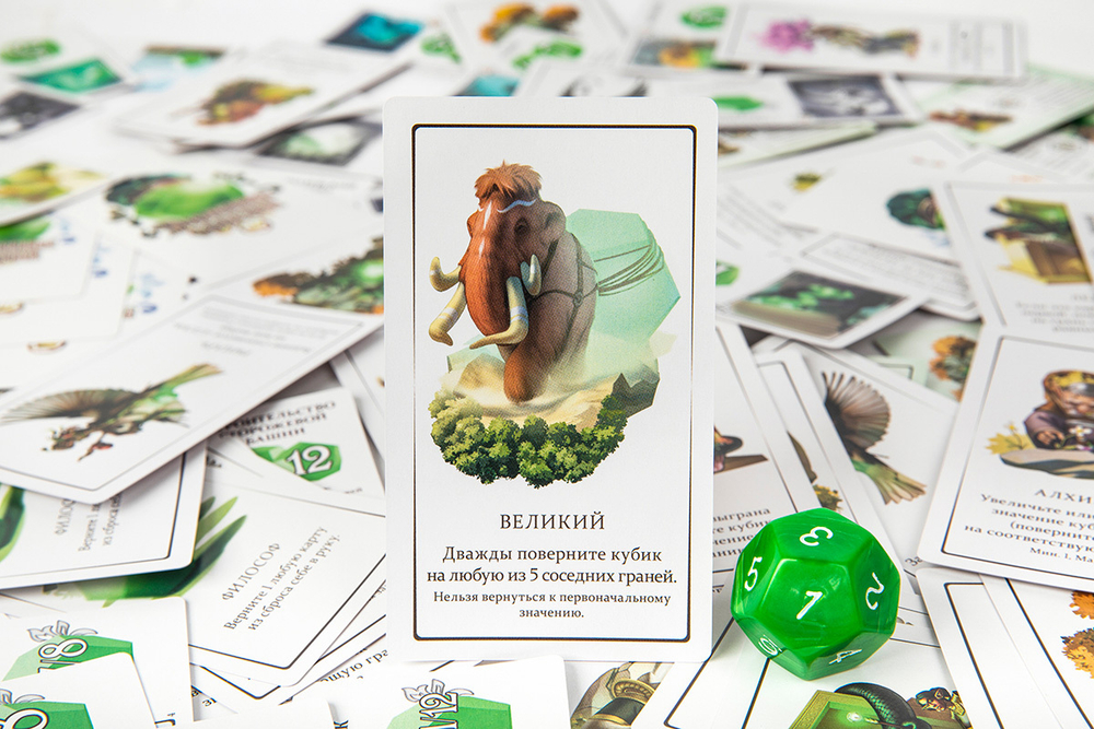 Дюжина совета