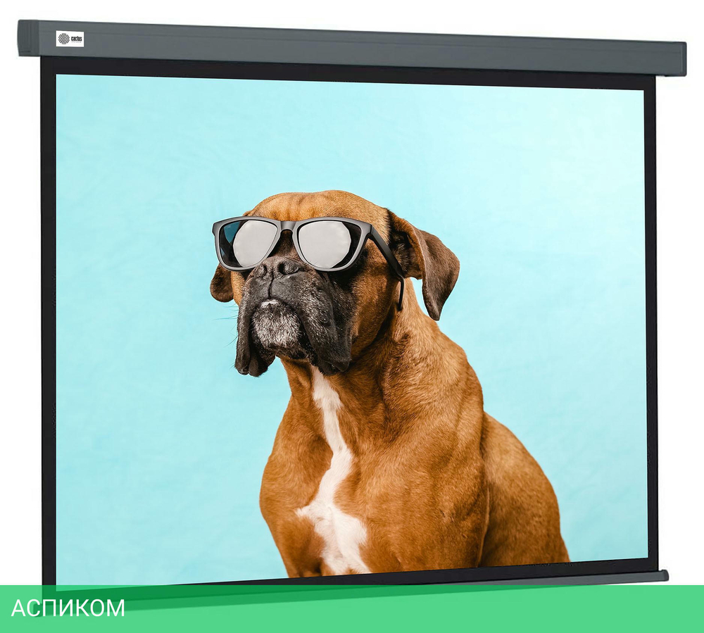Проекционный экран Cactus CS-PSW-149X265-SG серый