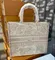 Сумка Dior Book Tote, модель большого формата, розовый