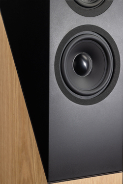 Напольная акустика Davis Acoustics The Pledge