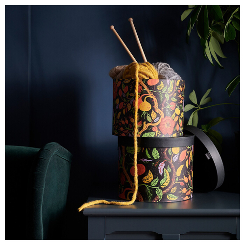 Набор коробок для хранения IKEA HOSTAGILLE (ХЕСТАГИЛЛЕ), Разноцветный, 2 шт