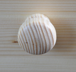 Письменный стол, компьютерный, детский стол парта деревянный