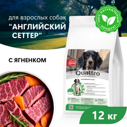 Корм сухой для взрослых собак породы Английский сеттер, с ягненком, 12 кг, QUATTRO
