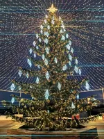 Светодинамическая елка ствольная со скамейкой, встроенная гирлянда: Холодный свет - "Лесная" (Литая хвоя) 6 м