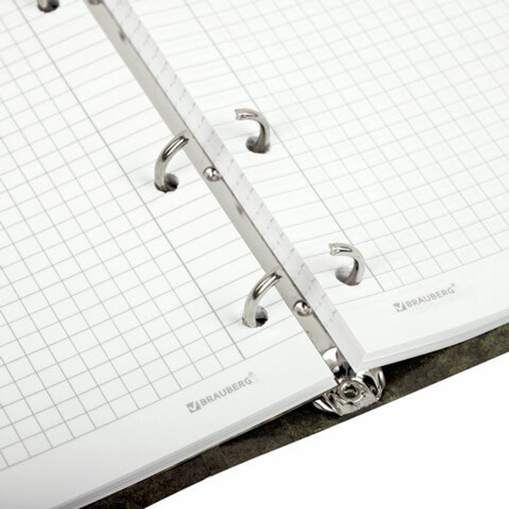 Тетрадь на кольцах А5 160х212 мм, 120 листов, картон, матовая ламинация, клетка, BRAUBERG, "Nature", 404728