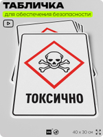 Табличка для обеспечения безопасности "Токсично", для производства, предприятия, организаций, 40х30 см, Silver Plane x Айдентика Технолоджи