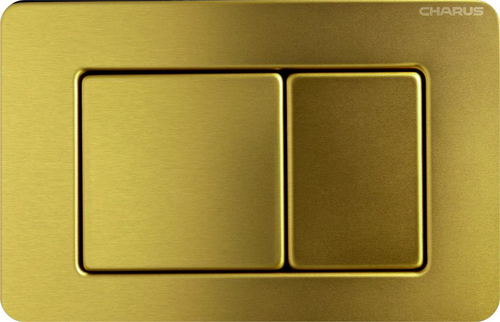 Клавиша для инсталляции CHARUS Robusto FP.310.BG.05, брашированное золото
