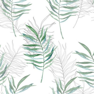 Тропики графика