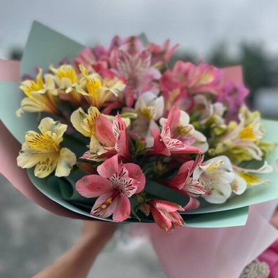 Альстромерия микс