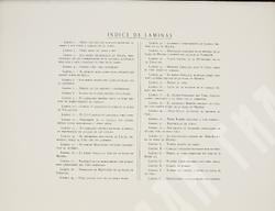 [Офорты Франсиско Гойи] Антонио де Орна. Папка из кожи «Тавромахия (Бой быков)». Кожа