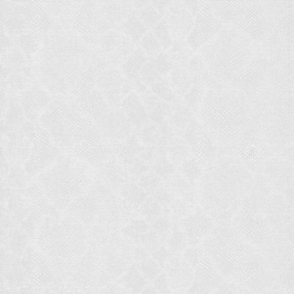 Обои ROBERTO CAVALLI Home 6 RC17094 1.06x10