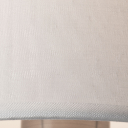 Настольная лампа Arte Lamp A2589LT-1SS