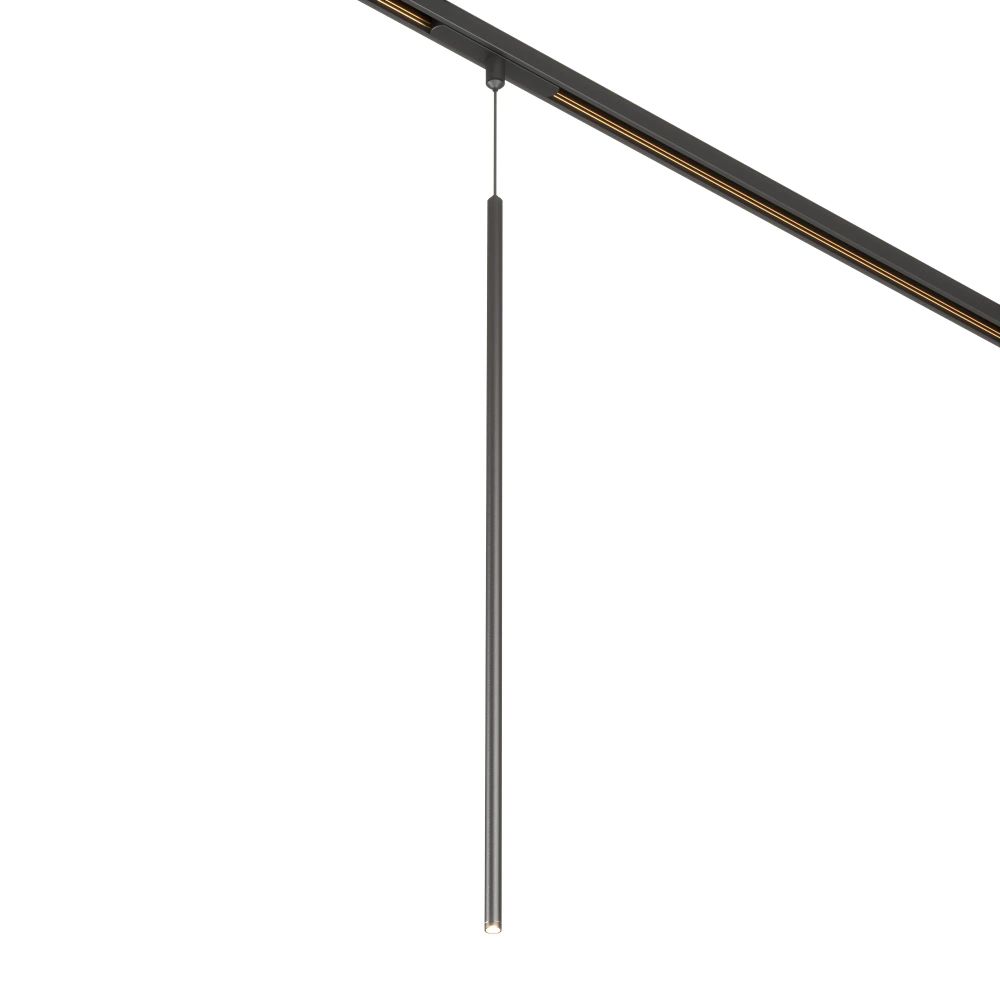 Светильник MAG-ORIENT-SPOT-HANG-L600-R12-2W Warm3000 (BK, 20 deg, 48V) (Arlight, IP20 Металл, 5 лет) 044502