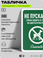 Табличка "Не пускайте собак ходить в туалет на цветы и растения", для двора, дома, подъезда, 40х30 см, Silver Plane x Айдентика Технолоджи