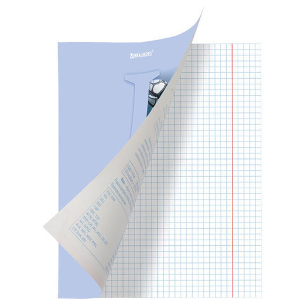 Тетрадь предметная ПАСТЕЛЬНАЯ 48 листов, обложка картон, ИНФОРМАТИКА, клетка, подсказ, BRAUBERG, 403959