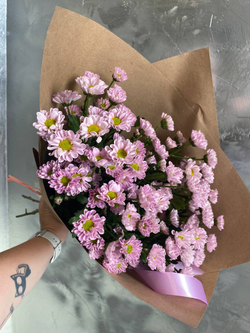 Хризантема Сантини Росси pink