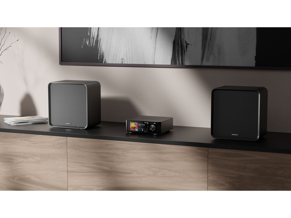 Акустическая система EverSolo SE100