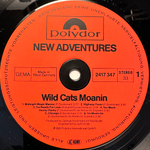 New Adventures - Wild Cats Moanin (Германия 1981г.)