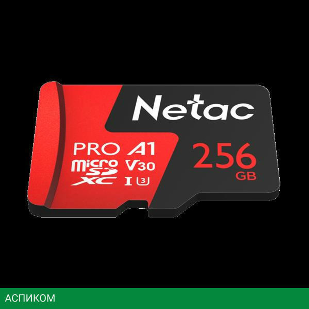 Карта памяти Netac NT02P500PRO-256G-R