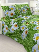 Комплект полутороспальный с одной наволочкой 70х70 см