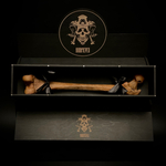 Бедренная кость (анатомическая модель) в подарочной коробке