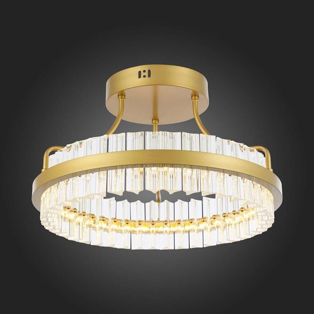 Накладной светильник ST-Luce Cherio SL383.202.01