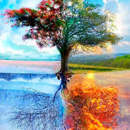 Набор "Сезоны"