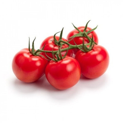 Продезо F1 семена томата индетерминантного (Rijk Zwaan / Райк Цваан)