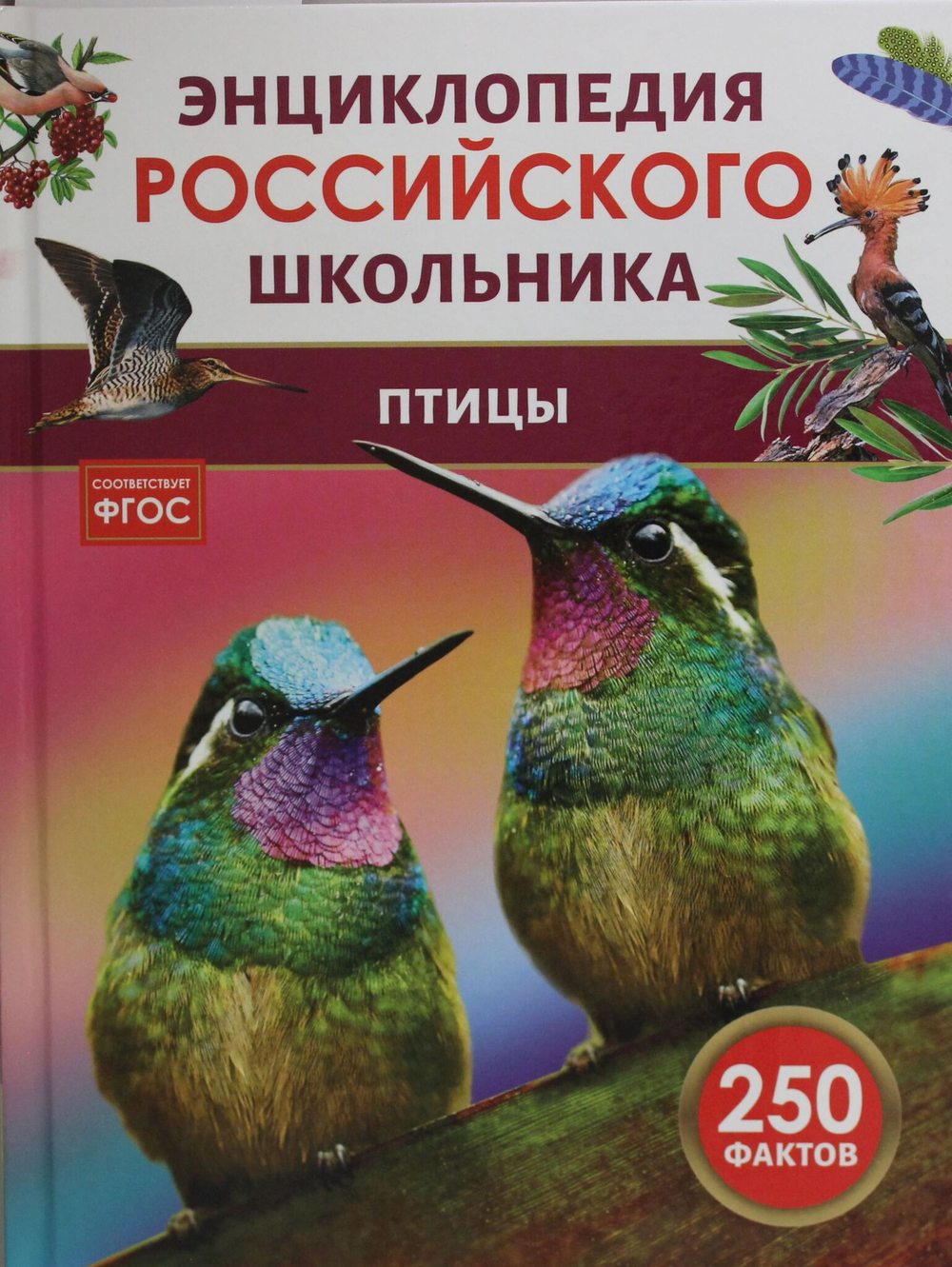Птицы. Энциклопедия российского школьника