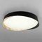 Светильник потолочный Citilux BONNY CL754351G
