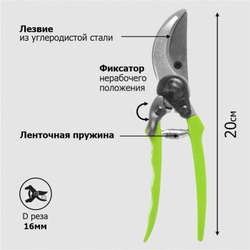 секатор