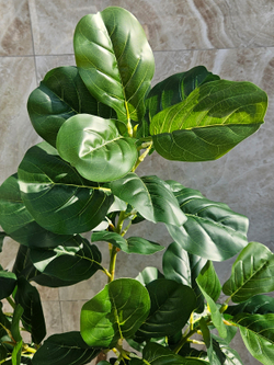 Искусственное растение Лирата зеленый 130см в кашпо