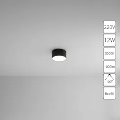 Потолочный светильник Arte Lamp FADO A7312PL-1BK