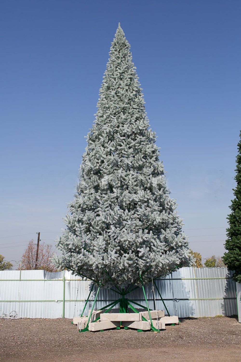 уличная елка ствольная "Альпийская" изумрудная